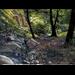 Monrovia Canyon